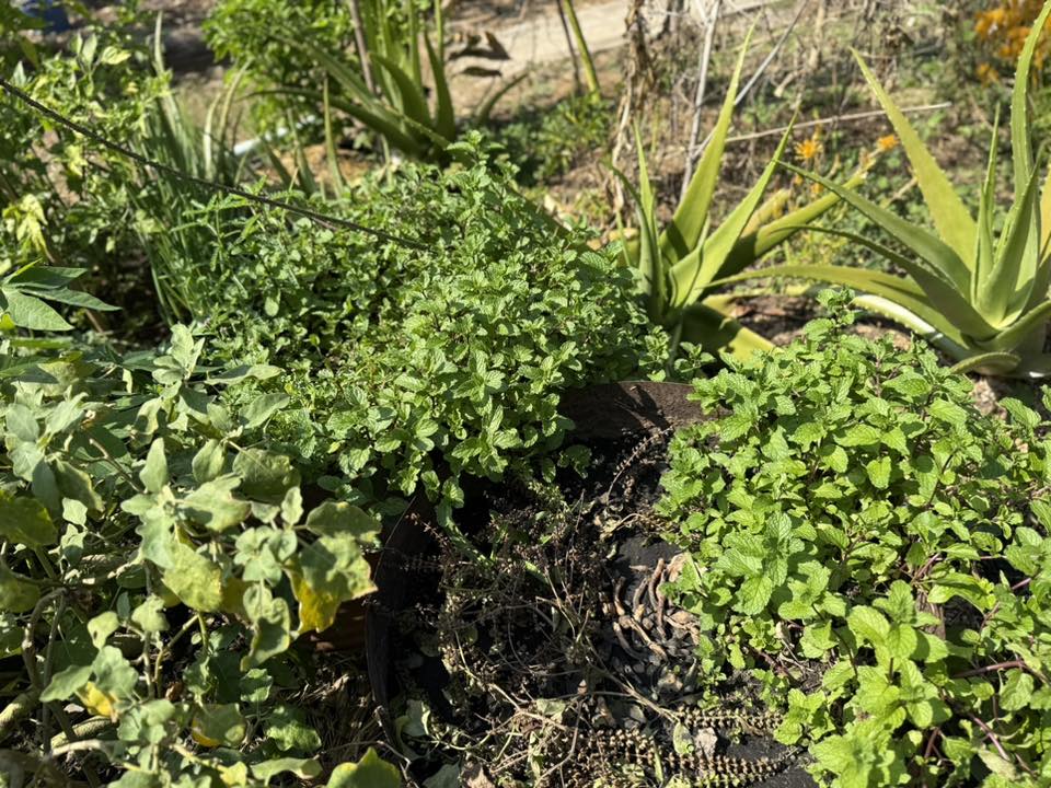 title - วันอังคารที่ 27 มกราคม 2569 ผู้ตรวจราชการ ส.ป.ก. ประชุมตรวจราชการและติดตามความก้าวหน้าผลการดำเนินงานตามแผนการตรวจราชการของผู้ตรวจราชการสำนักงานการปฏิรูปที่ดินเพื่อเกษตรกรรม ประจำปีงบประมาณ พ.ศ. 2569 รอบที่ 1 เขตตรวจราชการที่ 9 จังหวัดปราจีนบุรี